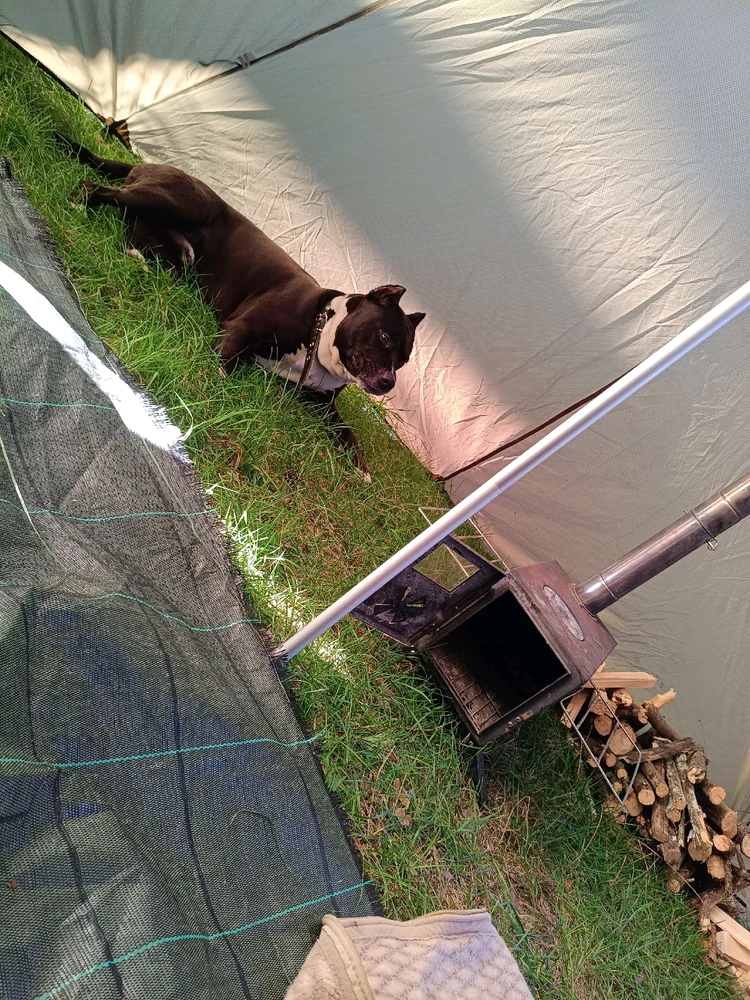 GIF įkėlė Edgaras