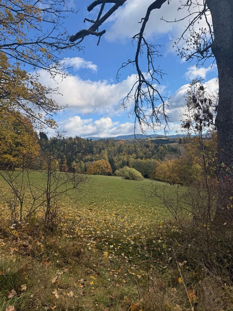 Obrázek nahrál Michaela