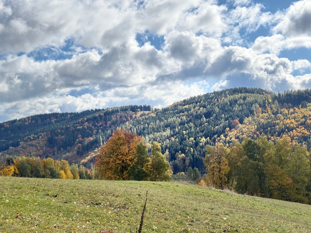 Obrázek nahrál Michaela