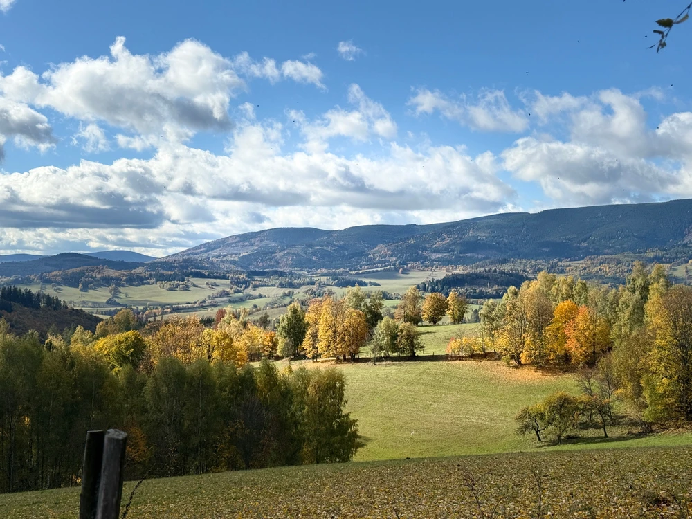 Obrázek nahrál Michaela