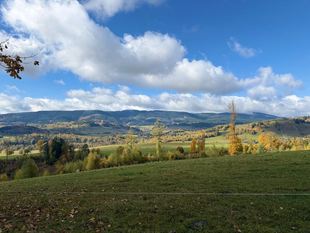 Obrázek nahrál Michaela