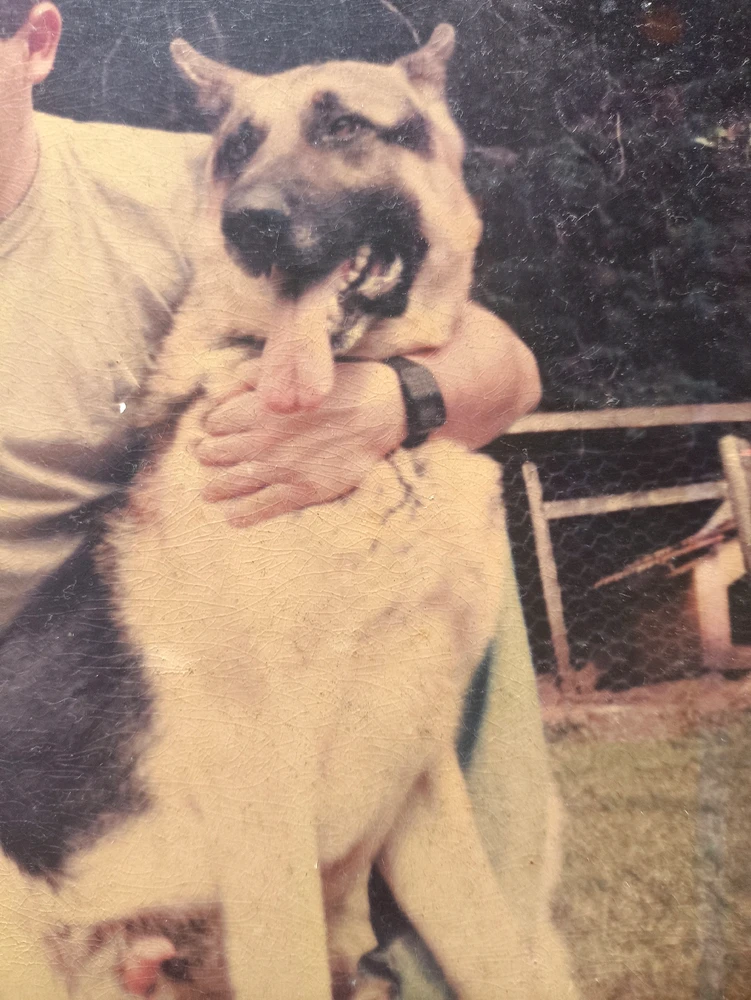 GIF enviado por Marcus