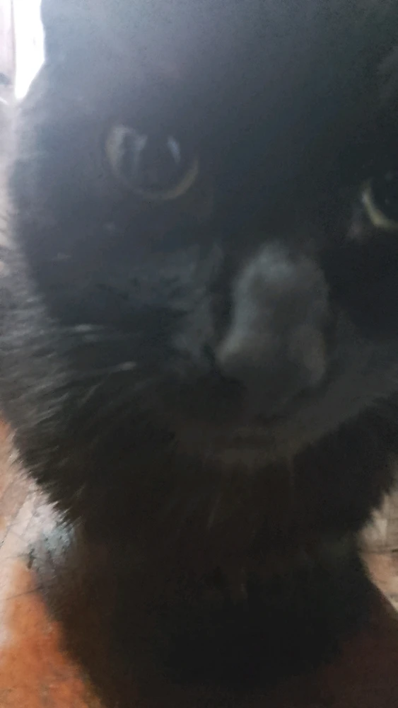 GIF subido por Jesus