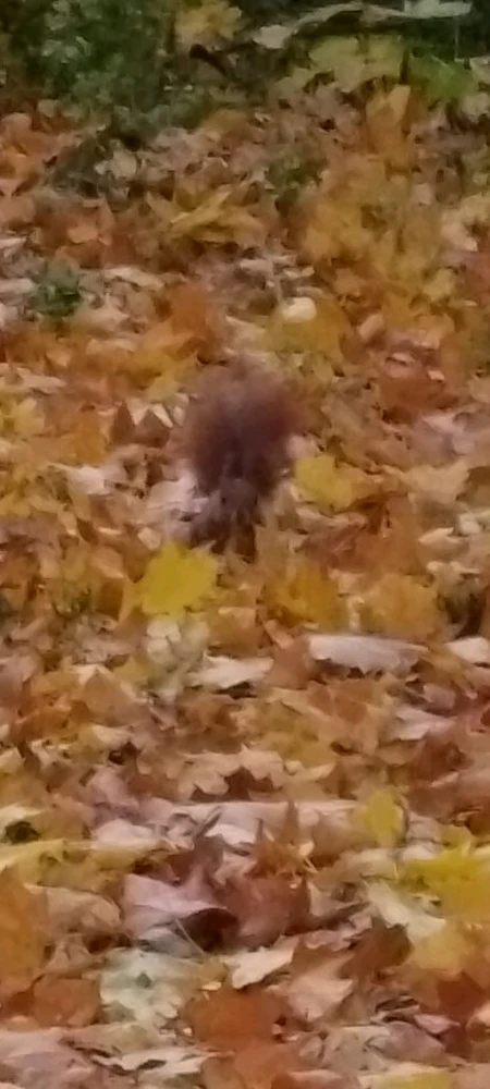 Zdjęcie dodane przez Radosław