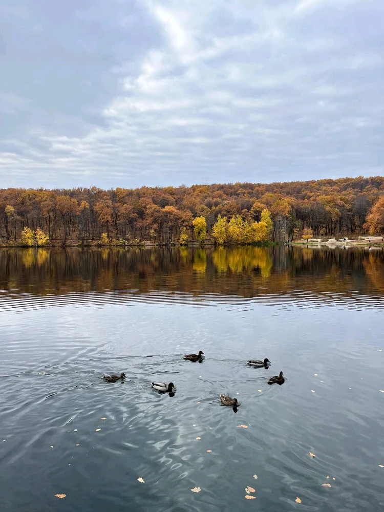 October, here's to you β€οΈβπ₯