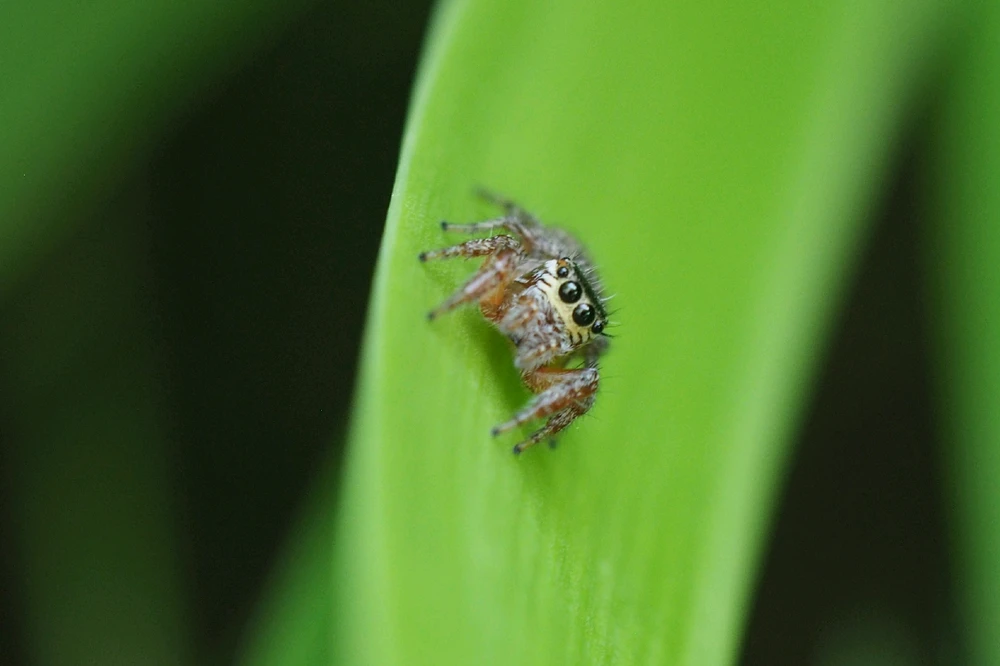 Image uploaded by Mariana