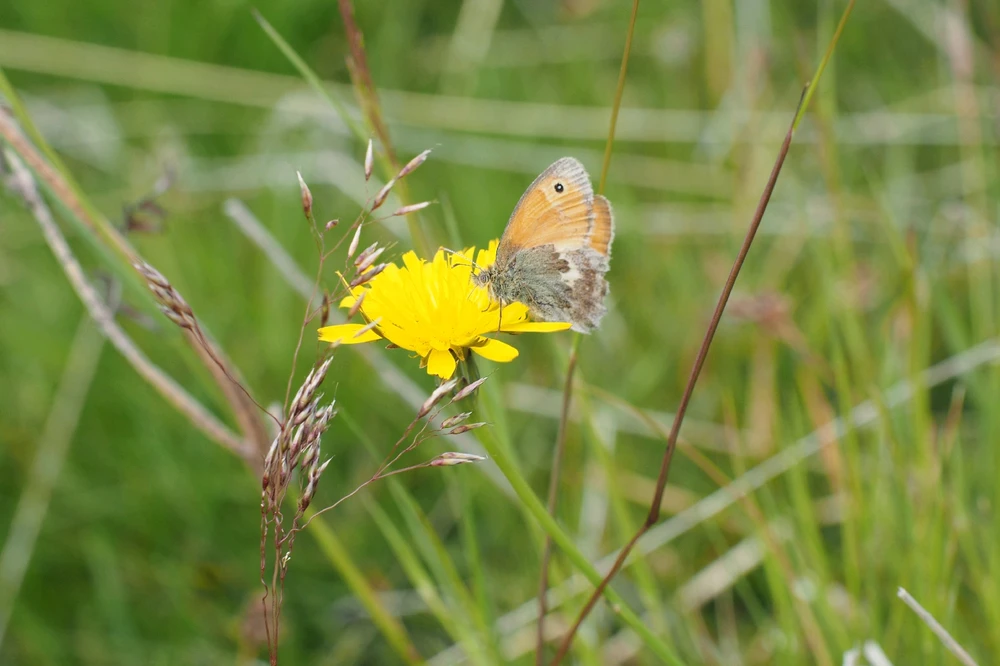 Image uploaded by Mariana