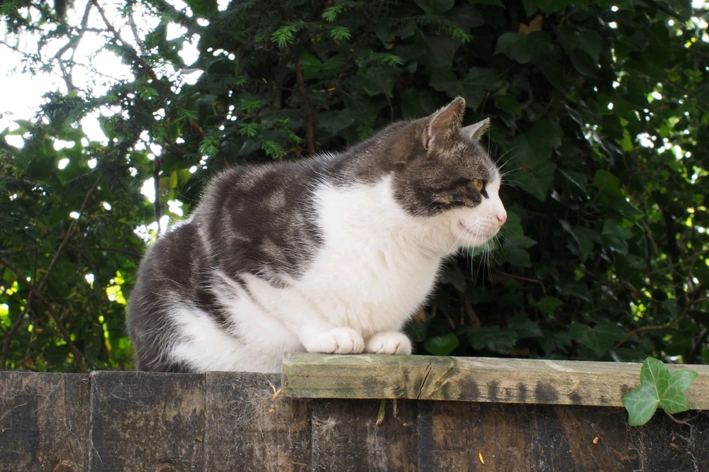 Image uploaded by Mariana