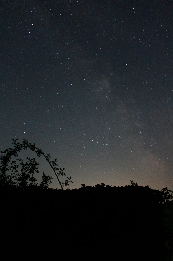 Des étoiles pleins les yeux ✨️