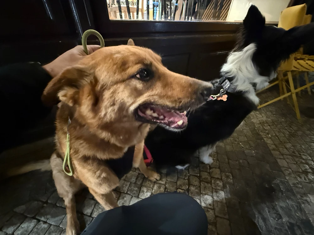 Obrázek nahrál Michal