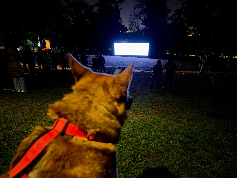 Obrázek nahrál Michal