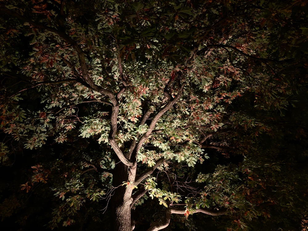 Obrázek nahrál Michal