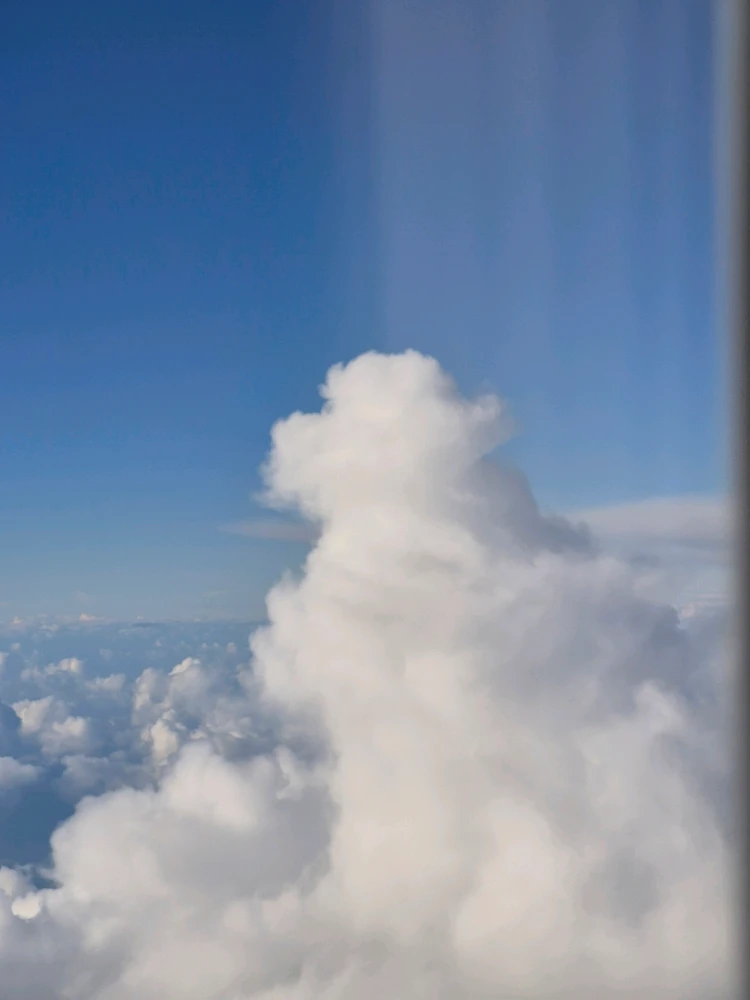 Image uploaded by Justine