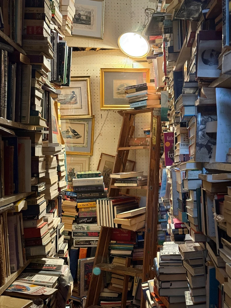 who else loves chaotic bookstores?