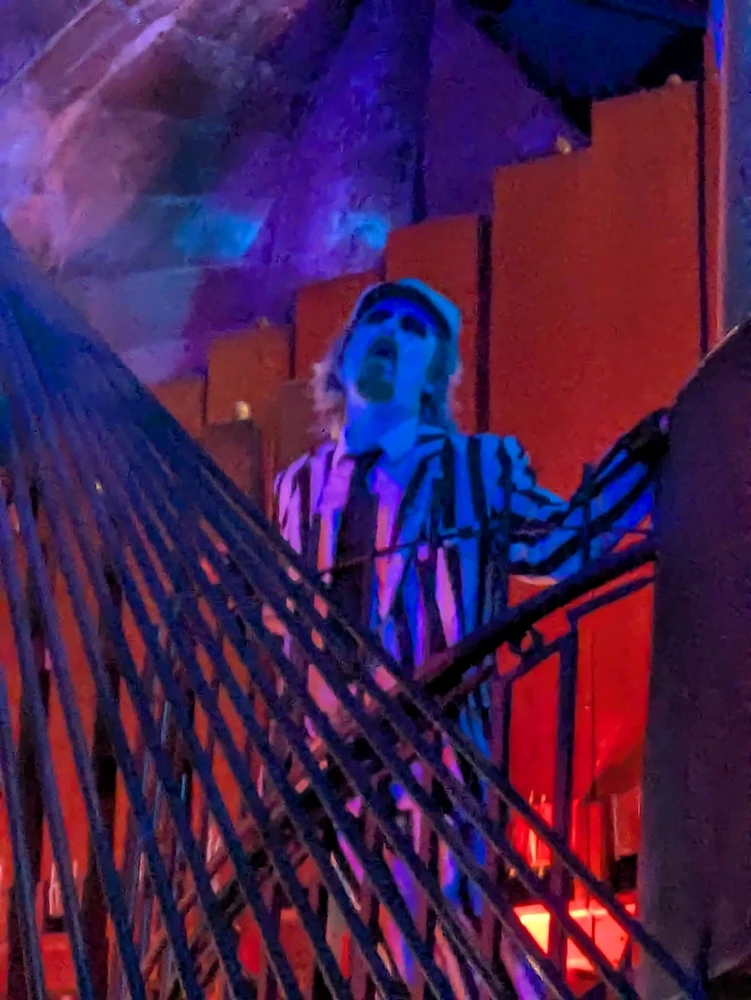 Who can guess where I am tonight?