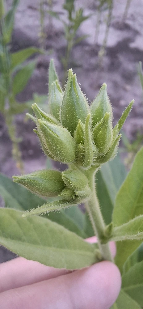 GIF uploaded by Jane