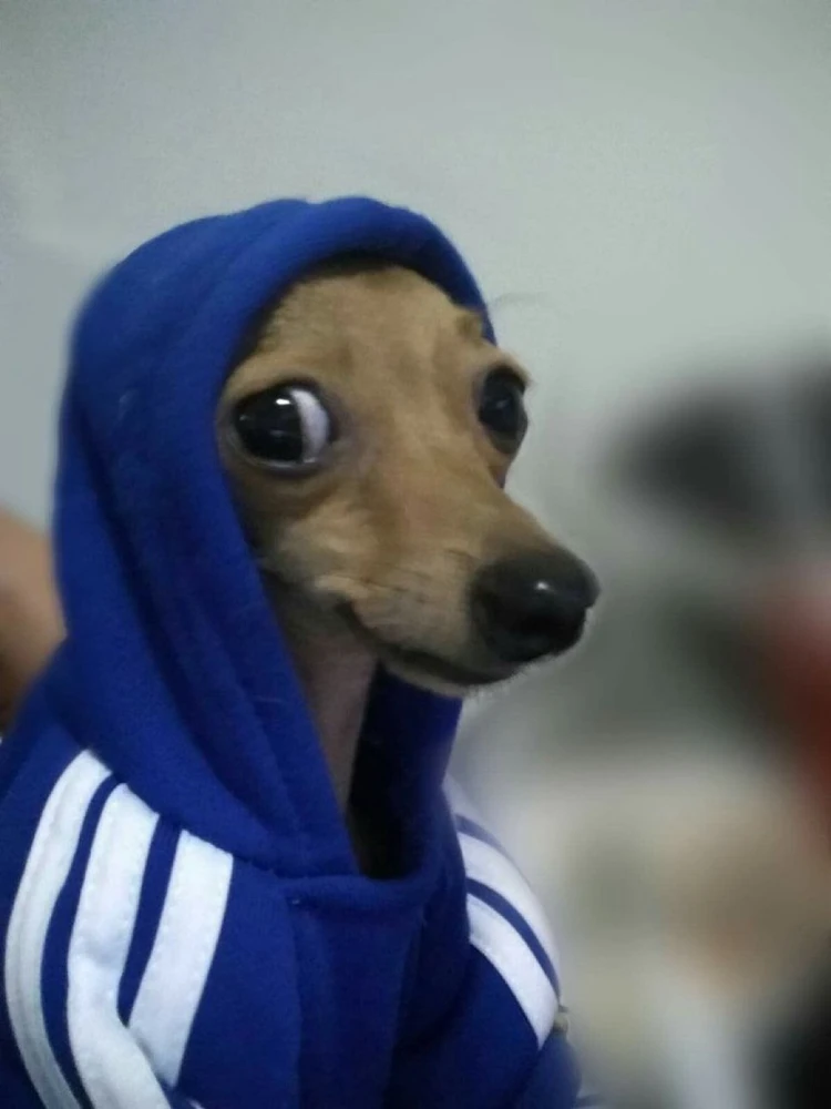 GIF diunggah dening Alfonso