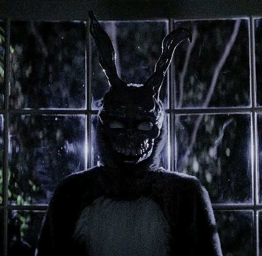 Has anyone seen the movie Donnie Darko?