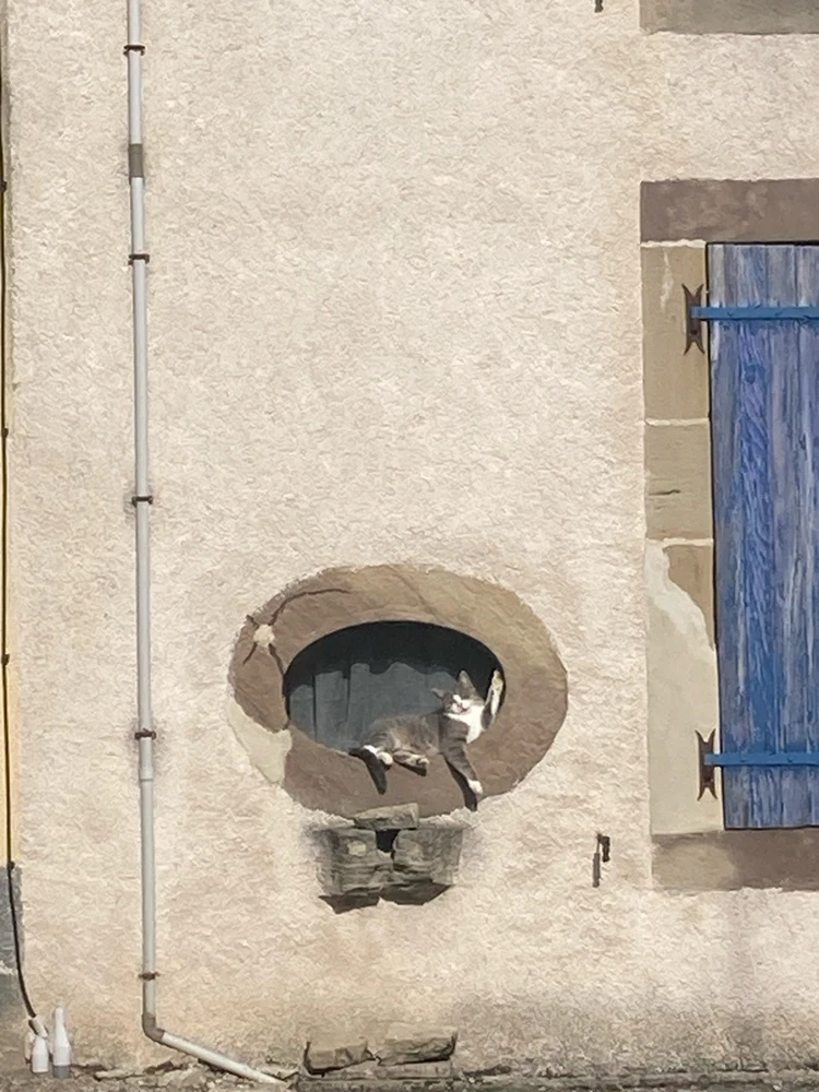 Parfois, tout n’est pas clair, et ce n’est pas grave.
Tu n’as pas besoin d’être parfait ou de gagner.