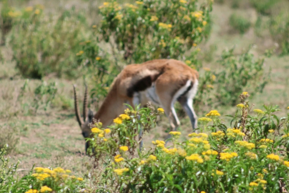 Learning photography