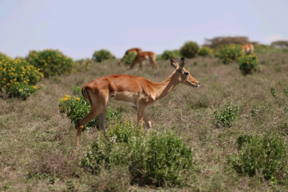 Learning photography