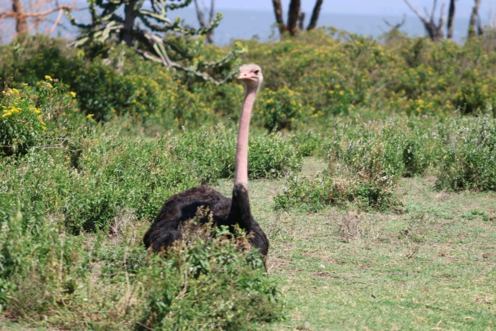 Learning photography