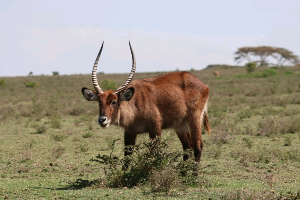 Learning photography