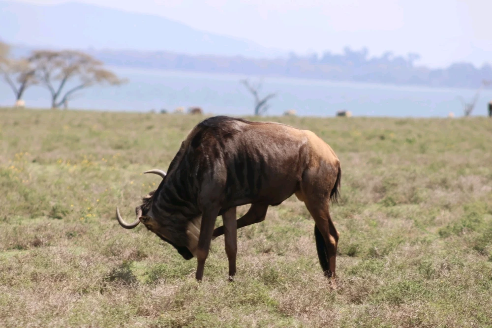 Learning photography