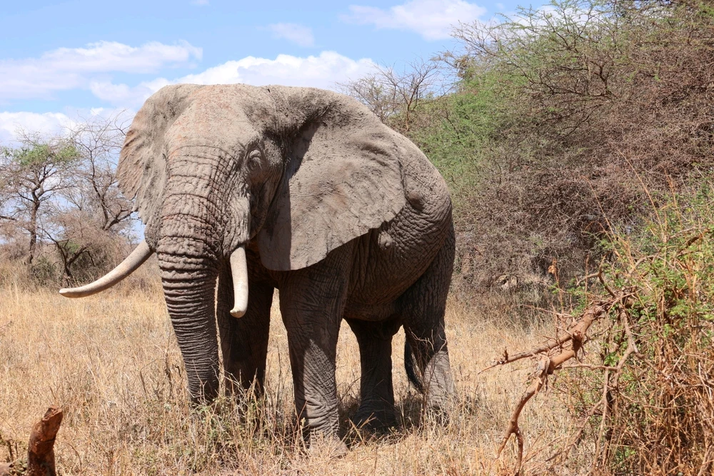 Learning photography