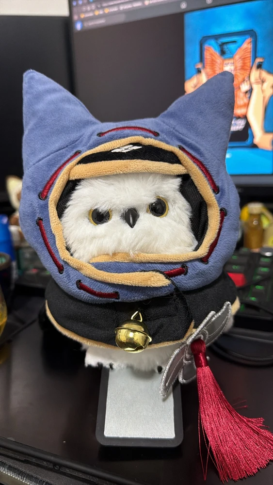 Hood meant for a cat, but is now on my hedwig (stay tune for cat pics)