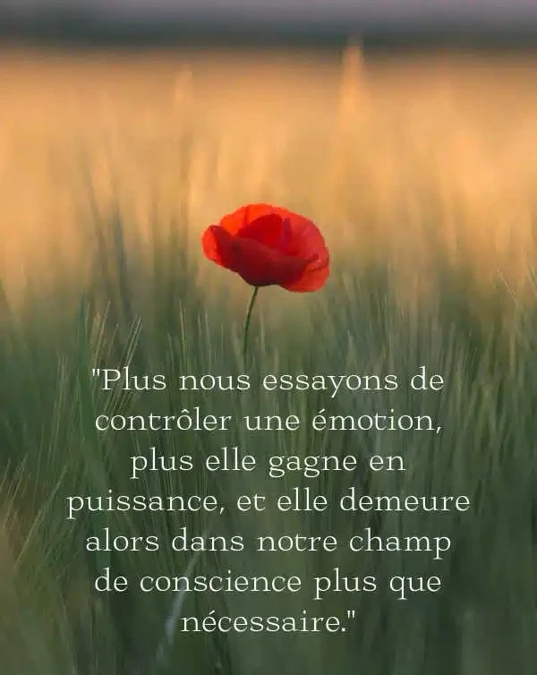 Agréable semaine à tous