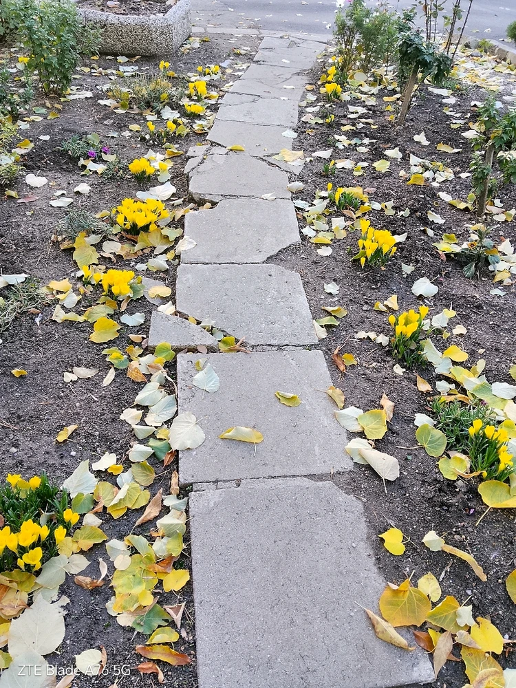 Качено от Geri