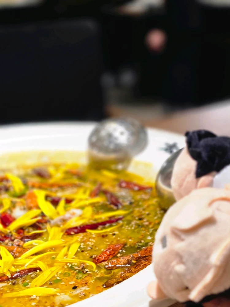 由Ling上传的图片