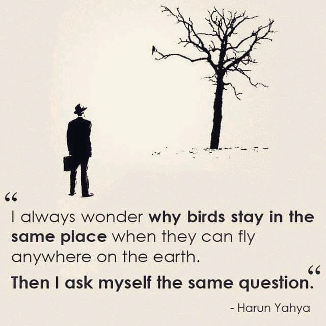 GIF hochgeladen von Lorenzo von Matterhorn