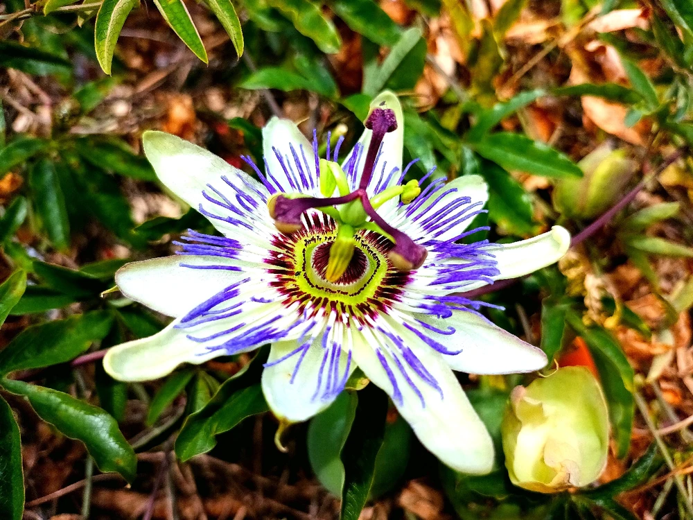 Il reste encore de la lumière