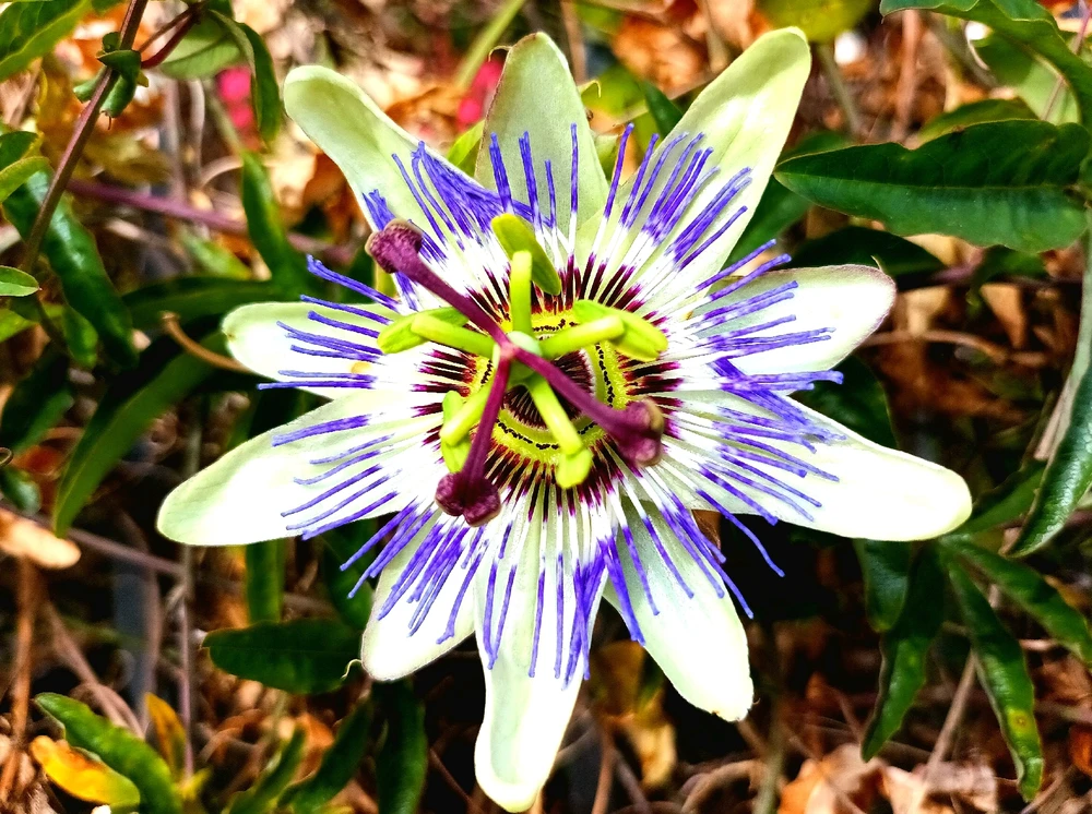 Il reste encore de la lumière