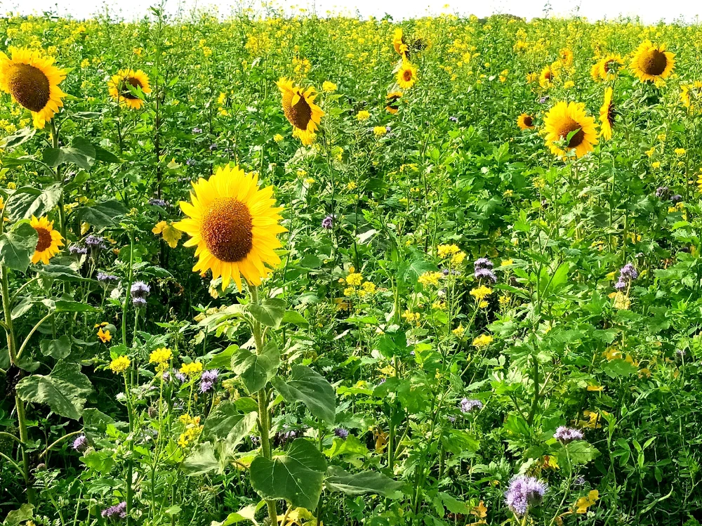 Il reste encore de la lumière