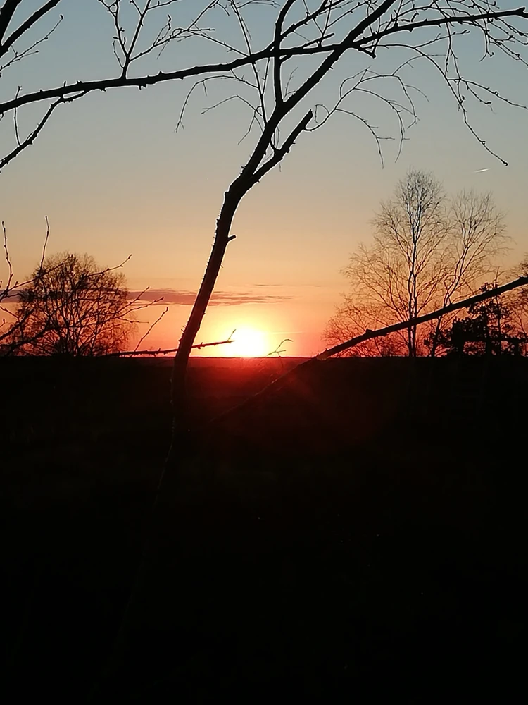 Image uploaded by Kevin