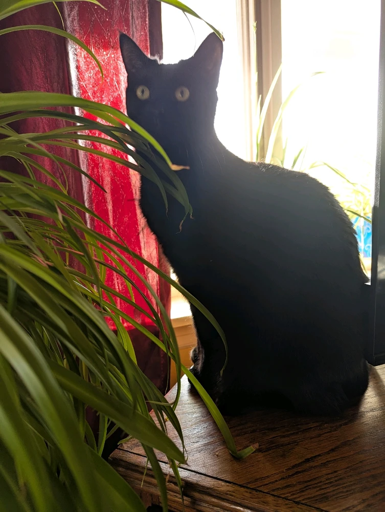 Image uploaded by Anna