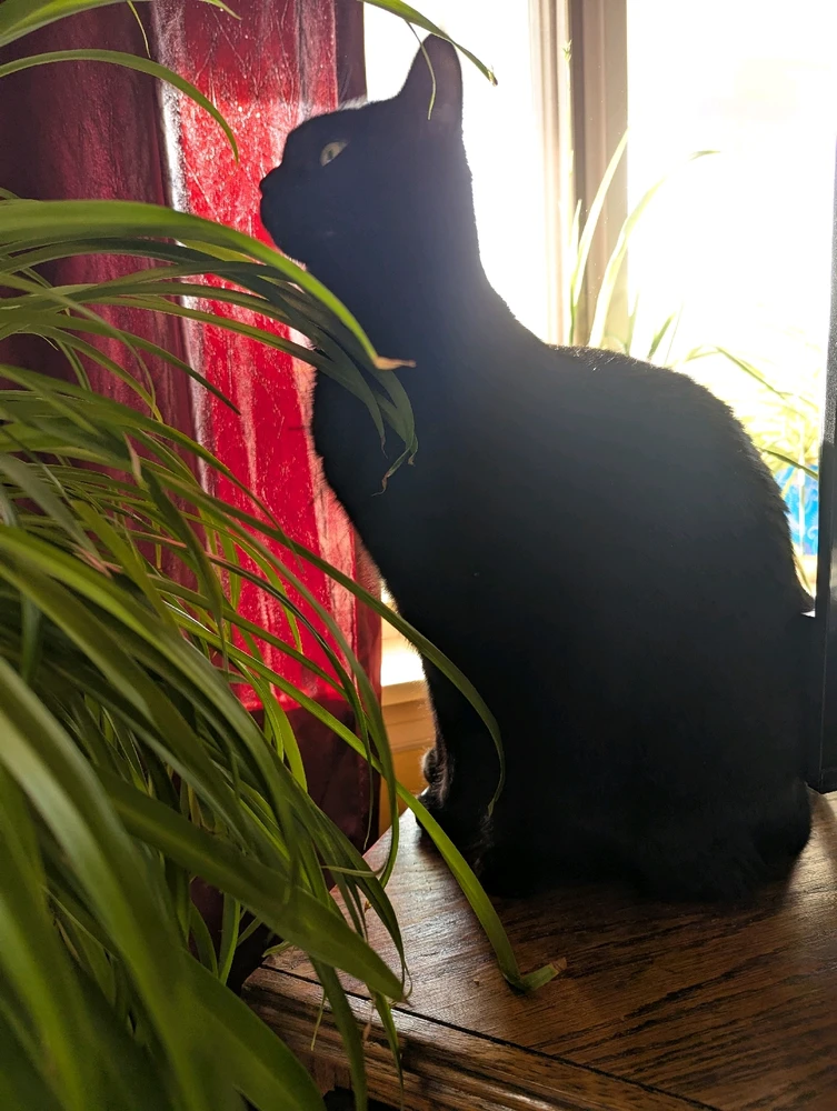 Image uploaded by Anna