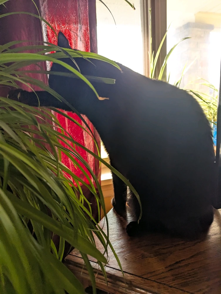 Image uploaded by Anna