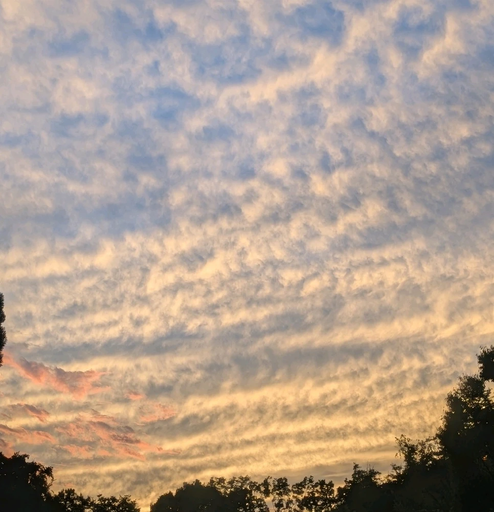 GIF uploaded by shajm