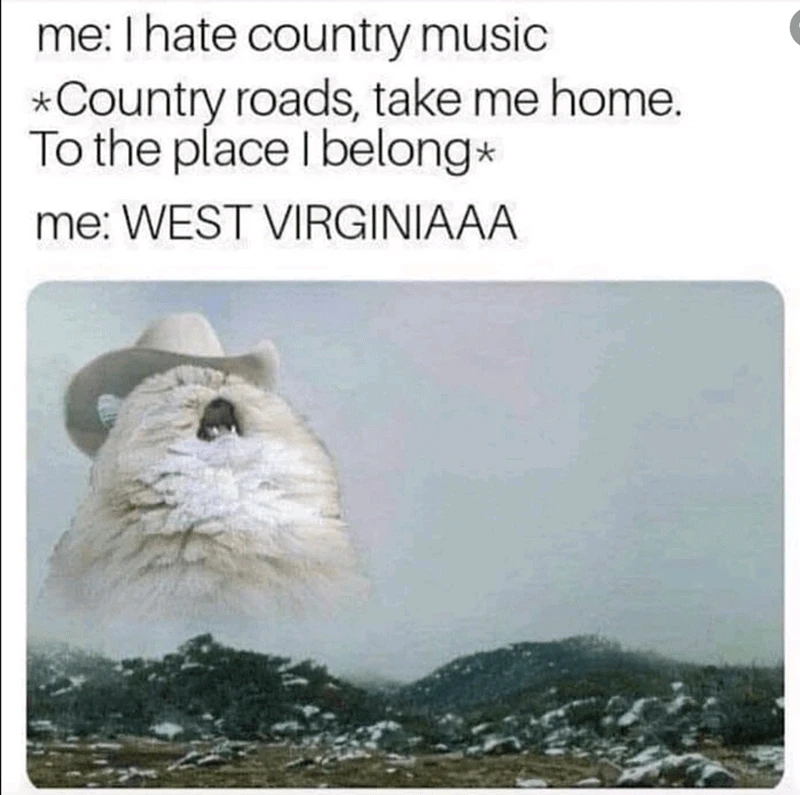 GIF uploaded by 《🌹.::Lenöré::.🌹》