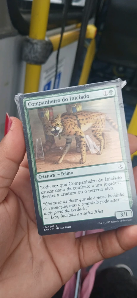 Imagem enviada por Rose