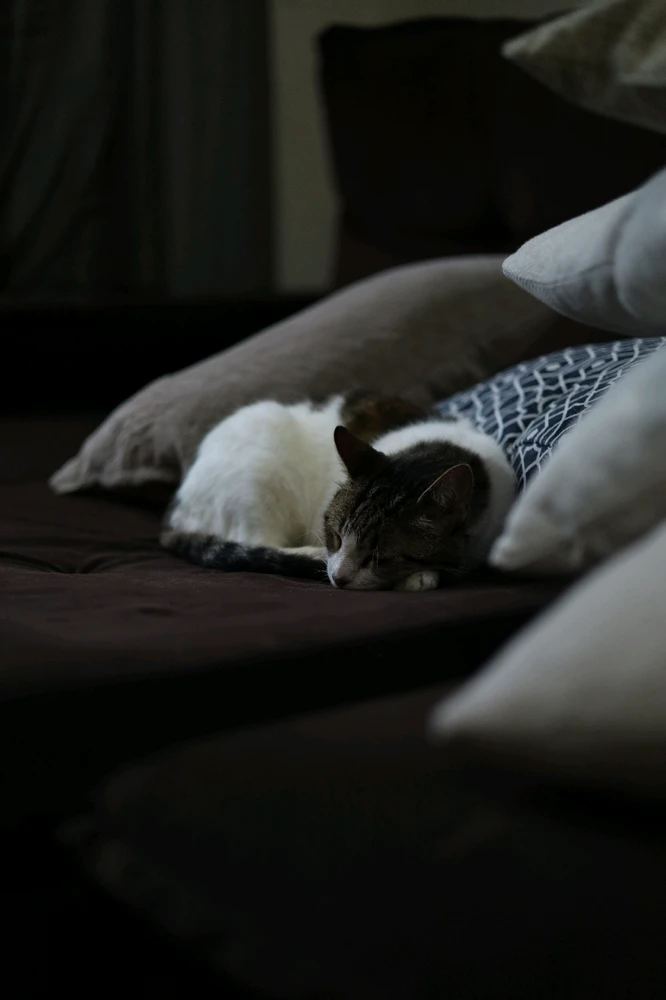 Essa é uma foto vertical