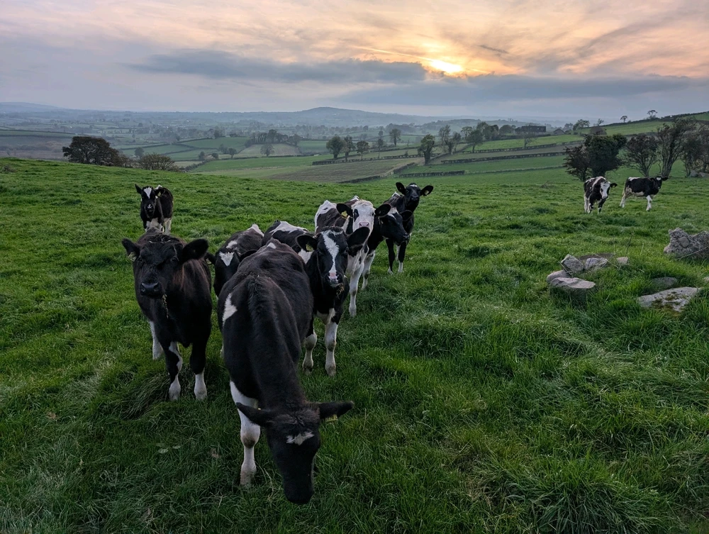 GIF uploaded by Graeme