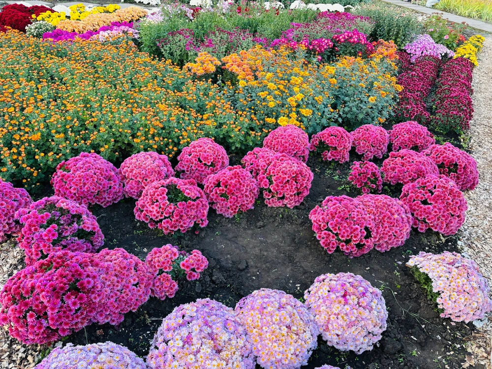 The autumn can be beautiful