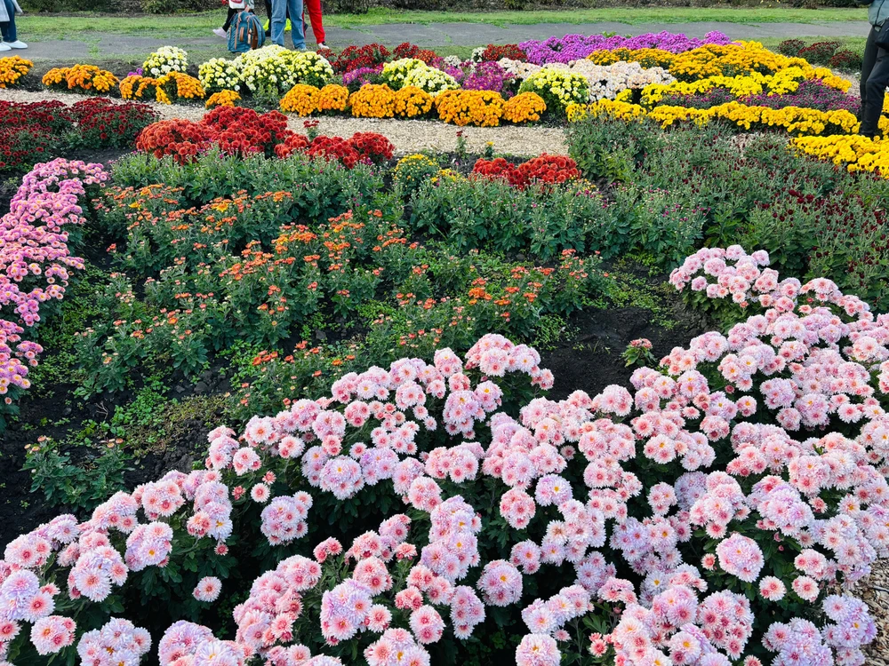 The autumn can be beautiful