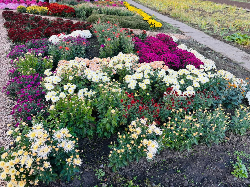 The autumn can be beautiful