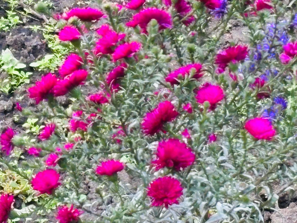 The autumn can be beautiful